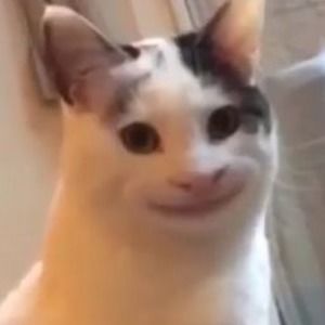 Meet your Posher, Nichoia